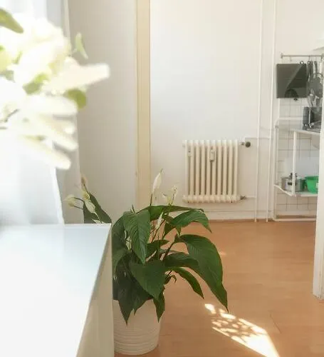 Stadtoase Nahe Hauptbahnhof Apartment Koblenz (Rhineland-Palatinate)